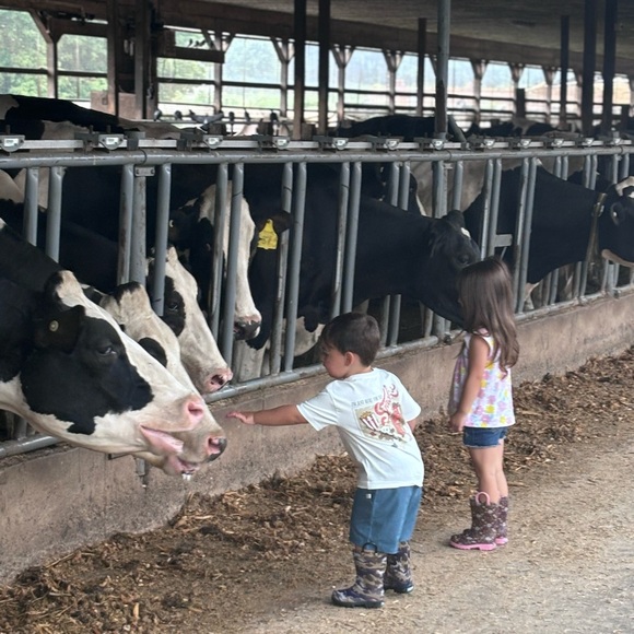 Meet your Posher, Danielle - Picture 9 of 16